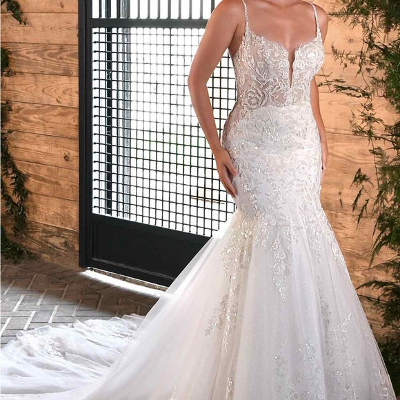 Essenes of Australia Wedding dress - Picture 5 of 14